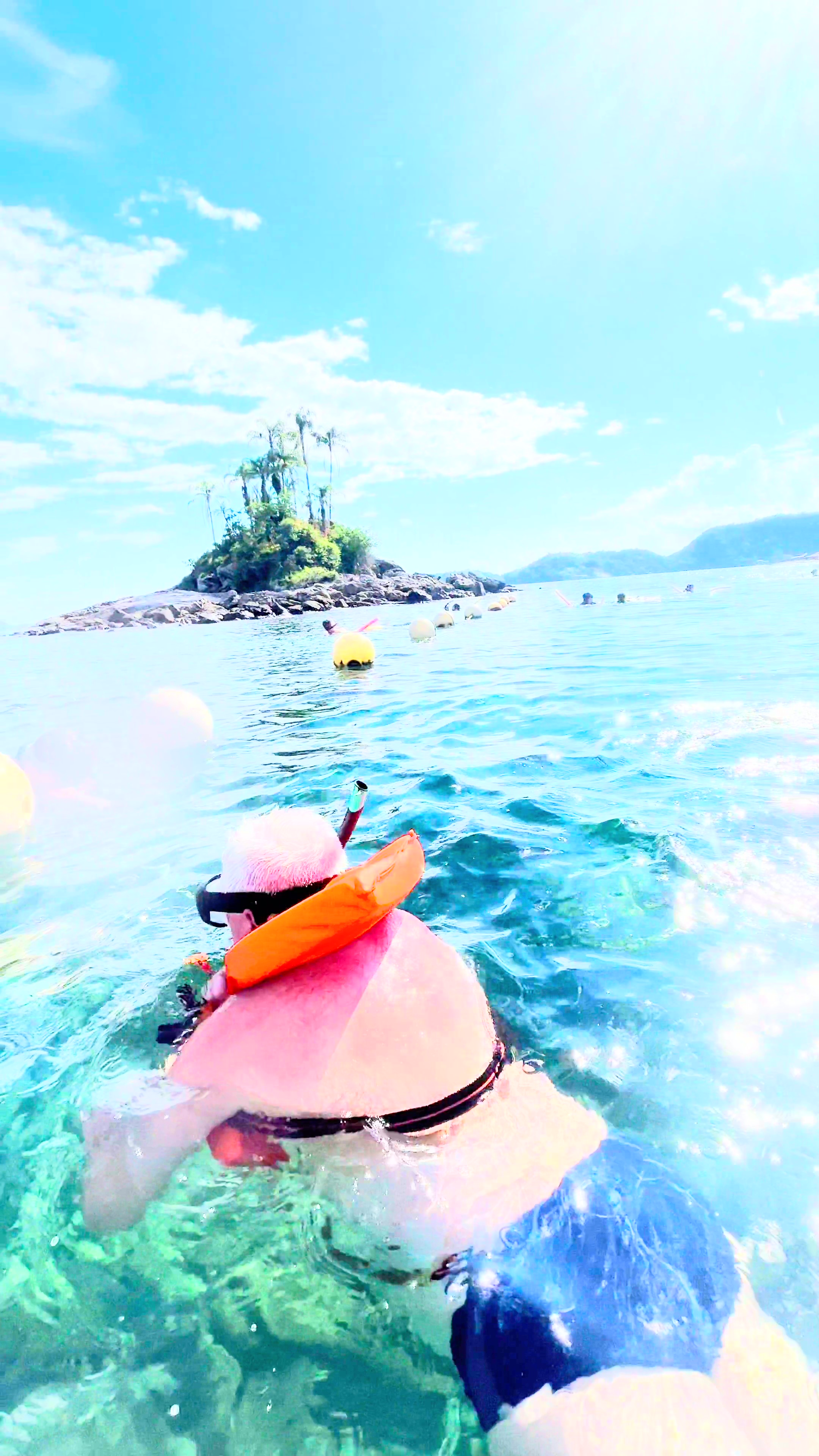 Mergulho e Snorkel